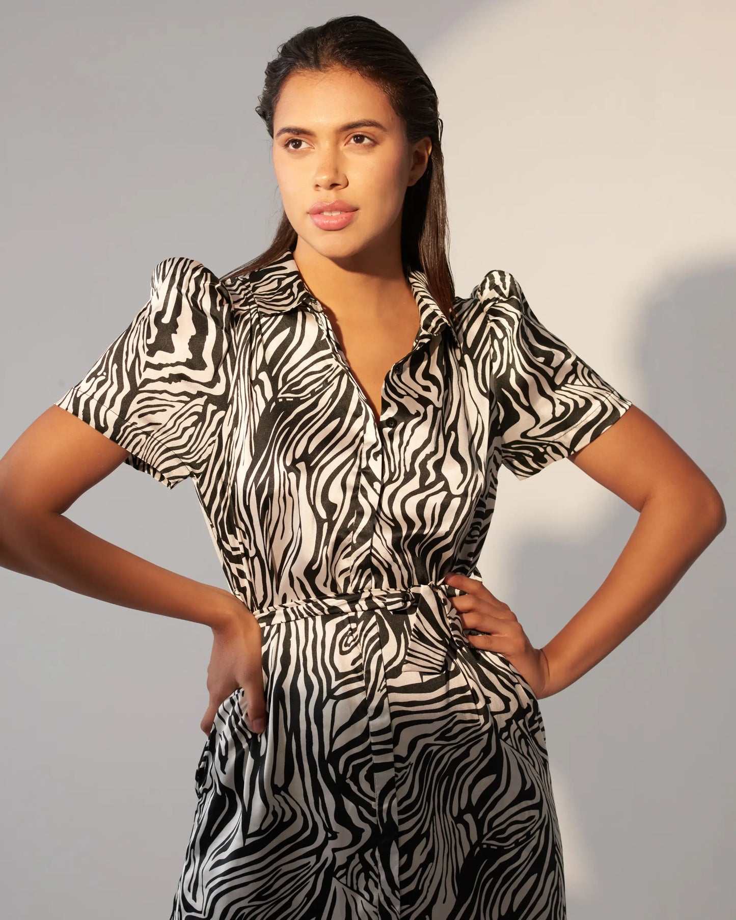 ZEE - Printed shirt dress