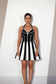 Monochrome Muse Dress
